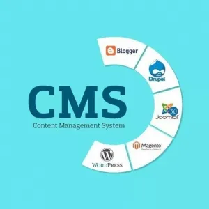Что следует знать о CMS?
