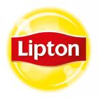 Lipton логотип бренда