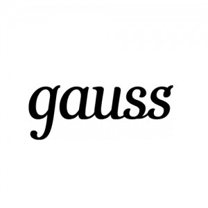 Gauss компания логотип