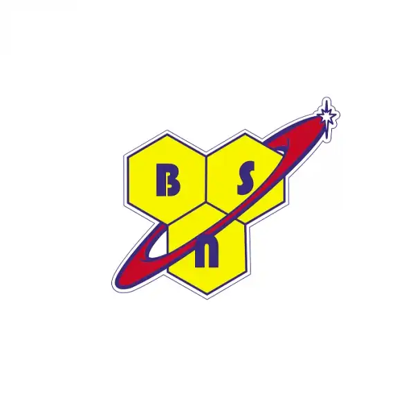 Логотип BSN