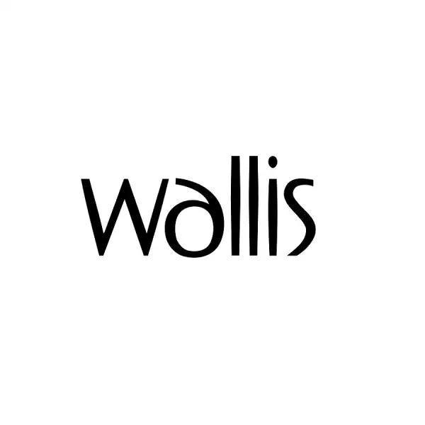 Логотип Wallis