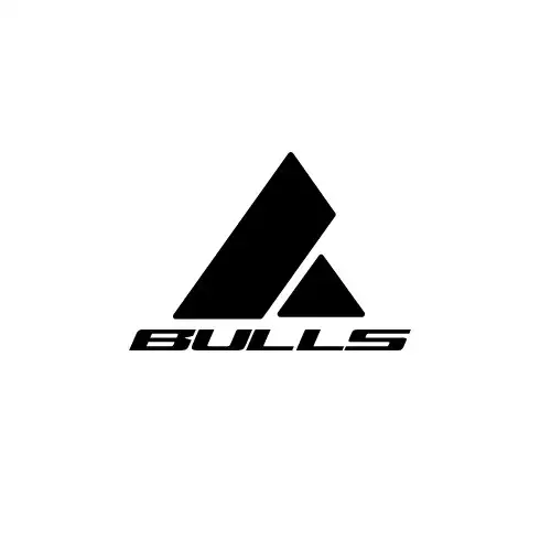 Логотип Bulls