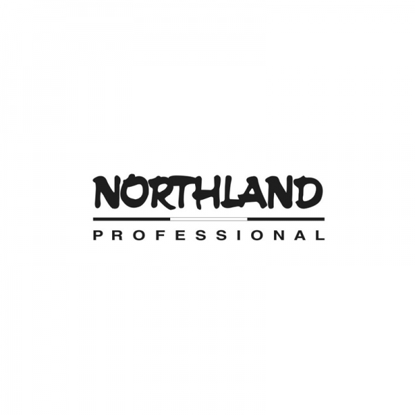 Логотип Northland