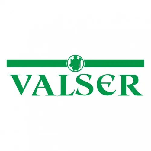 Логотип Valser